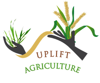 UPLIFT Agriculture Project logo