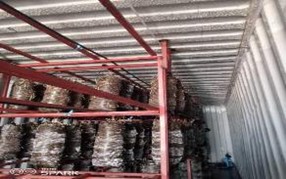 Mushroom project established through UPLIFT-Ag to promote Learning by Doing at Zimbabwe Open University