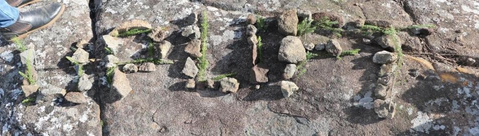 UPLIFT Ag creatively written at the Rhodes World site View