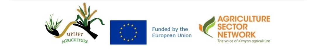 Uplift EU ASNET Photo